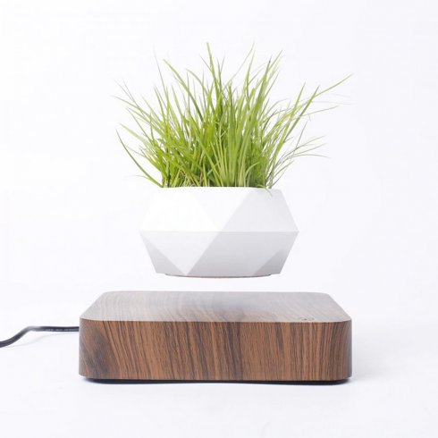 LevitationMag™ Floating Magnetic Planter